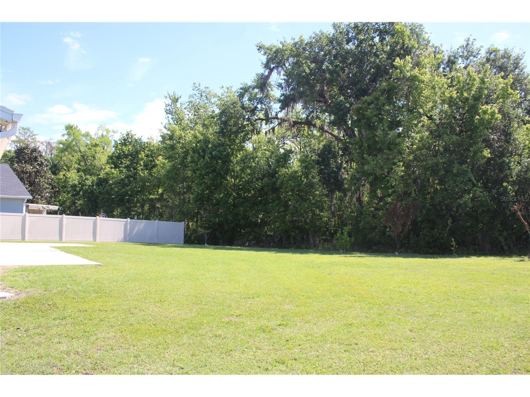 2543 Chapala Drive Kissimmee FL 34746 O6396893 image14