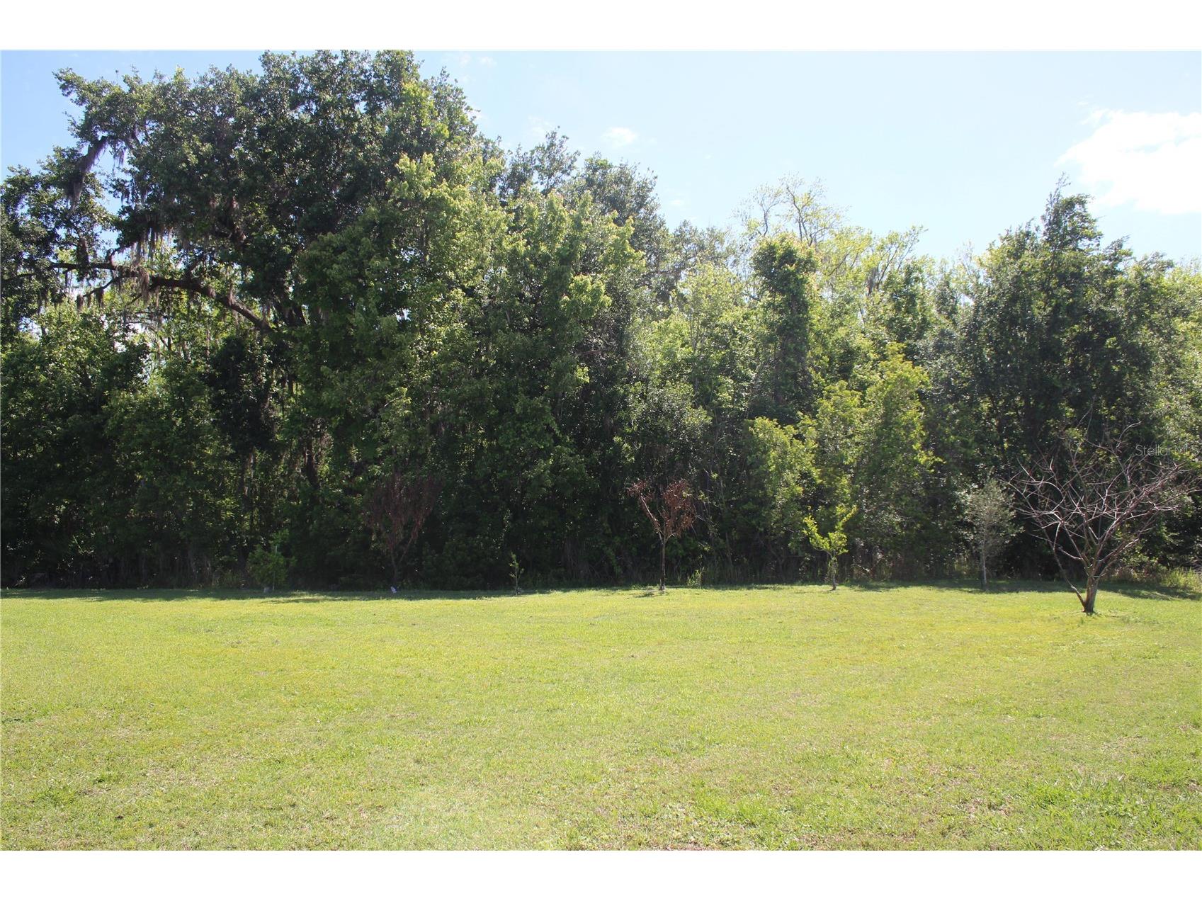 2543 Chapala Drive Kissimmee FL 34746 O6396893 image15