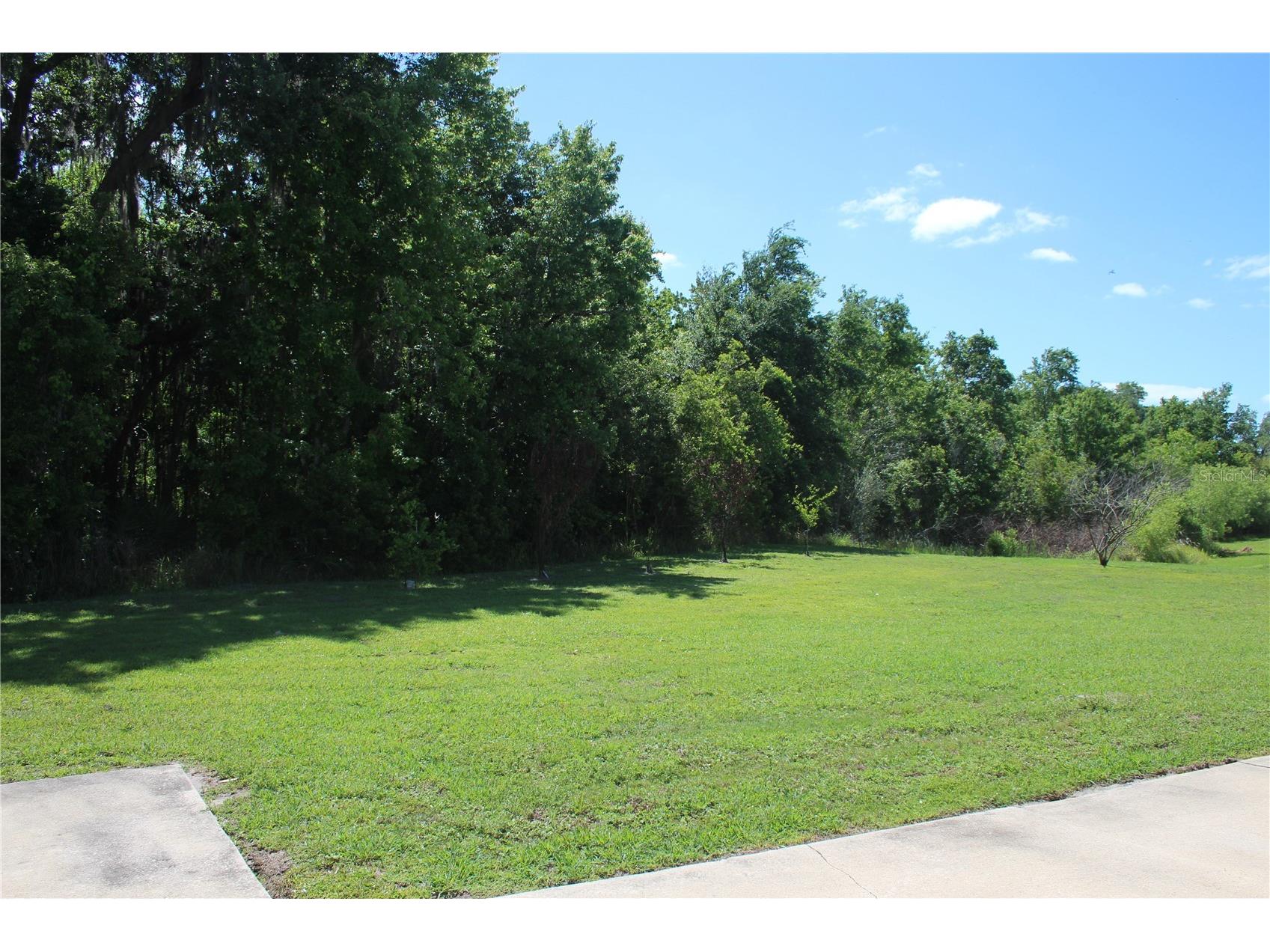 2543 Chapala Drive Kissimmee FL 34746 O6396893 image17