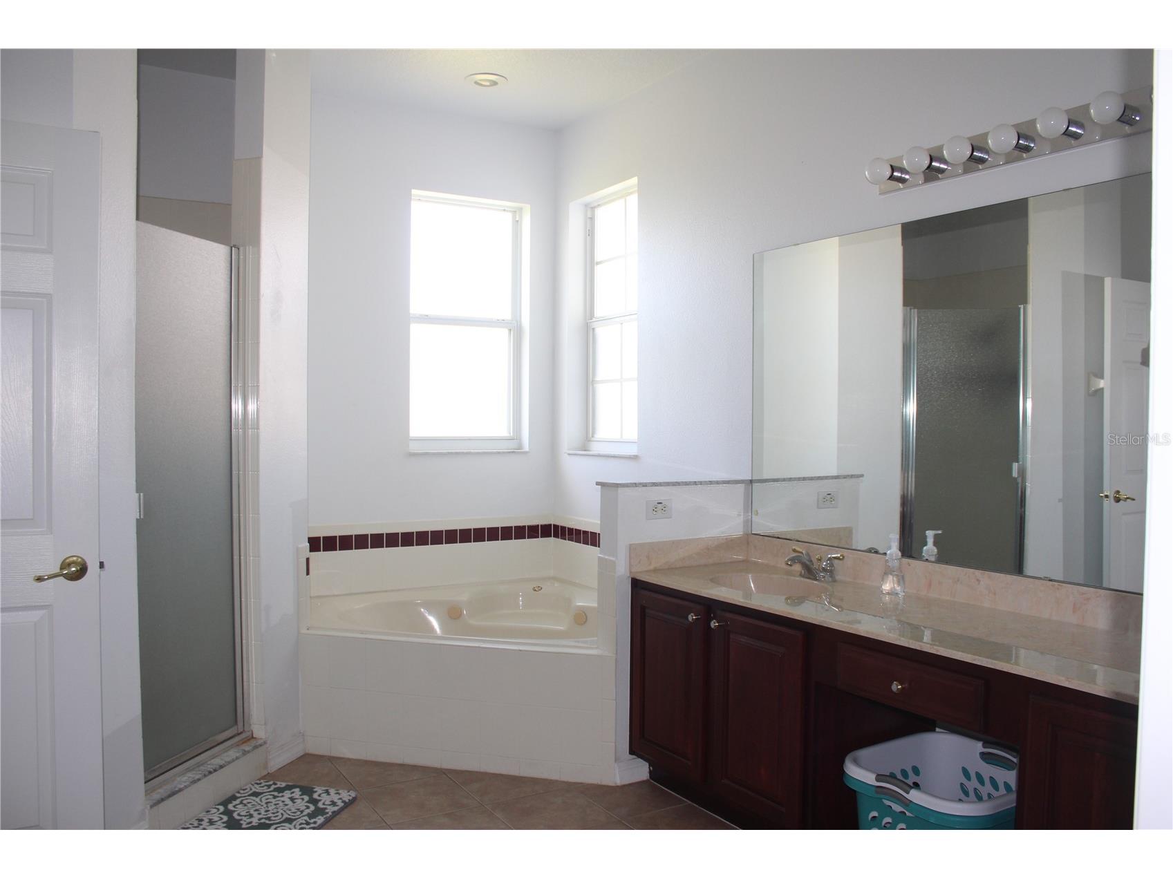 2543 Chapala Drive Kissimmee FL 34746 O6396893 image53