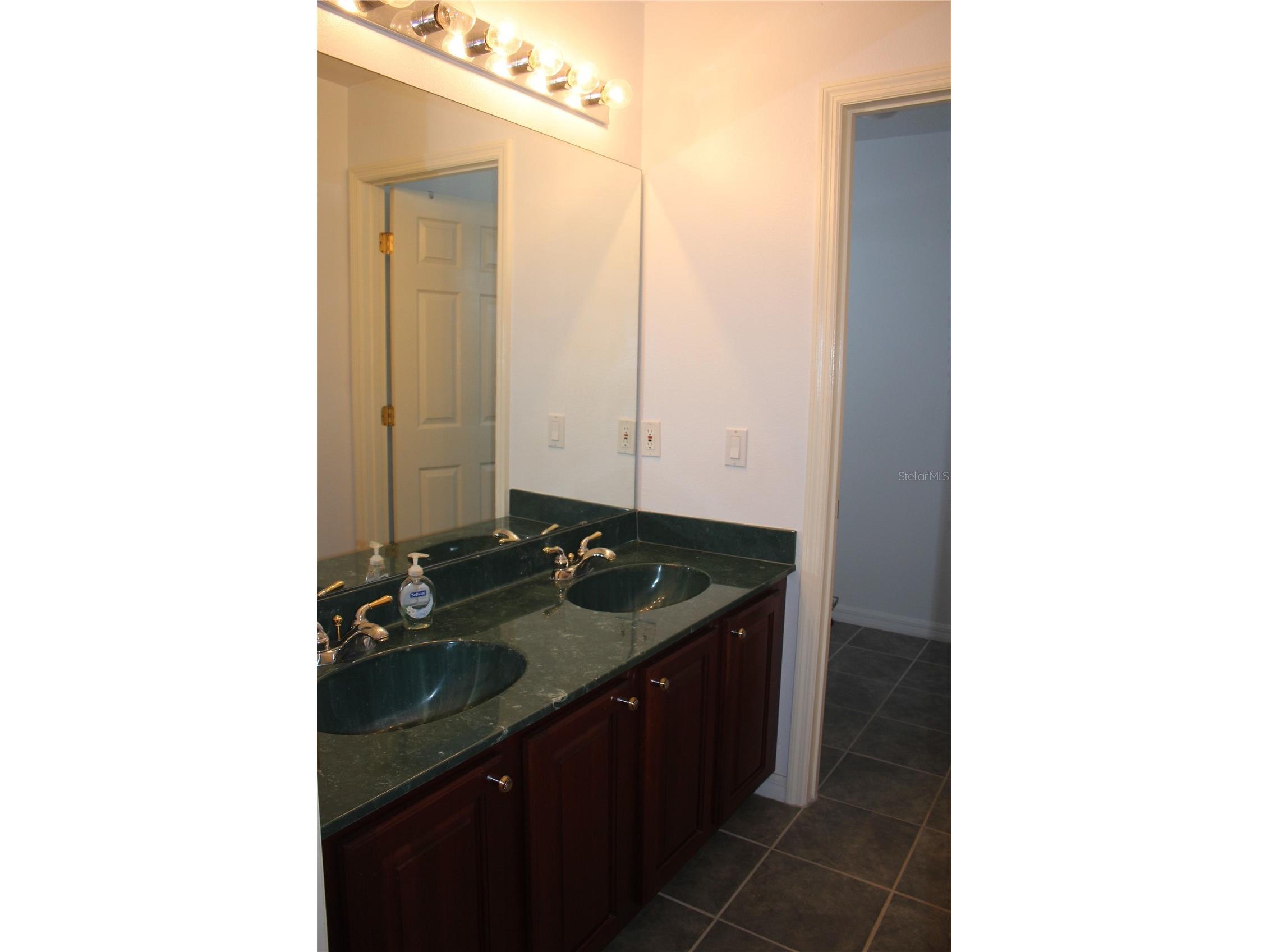 2543 Chapala Drive Kissimmee FL 34746 O6396893 image71