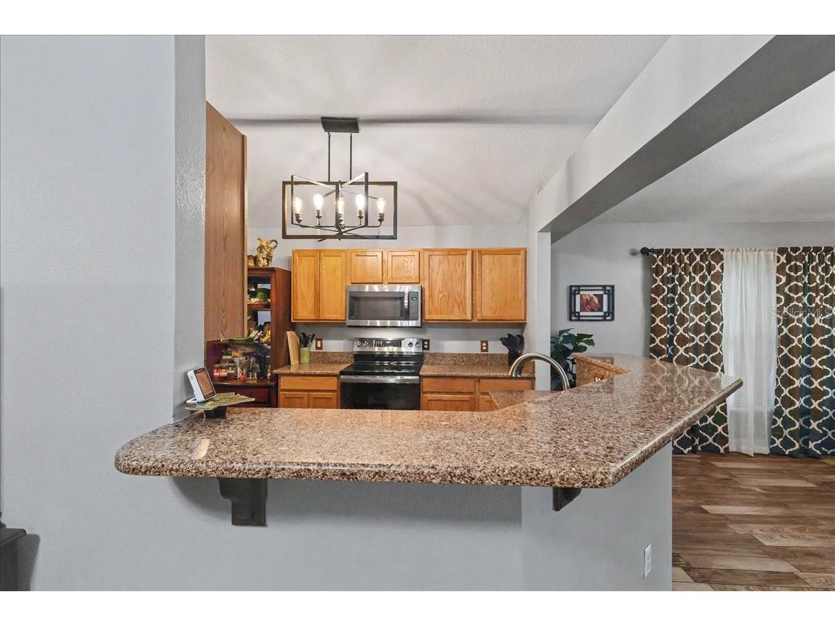 2543 Palmetto Ridge Circle Apopka FL 32712 O6411169 image17