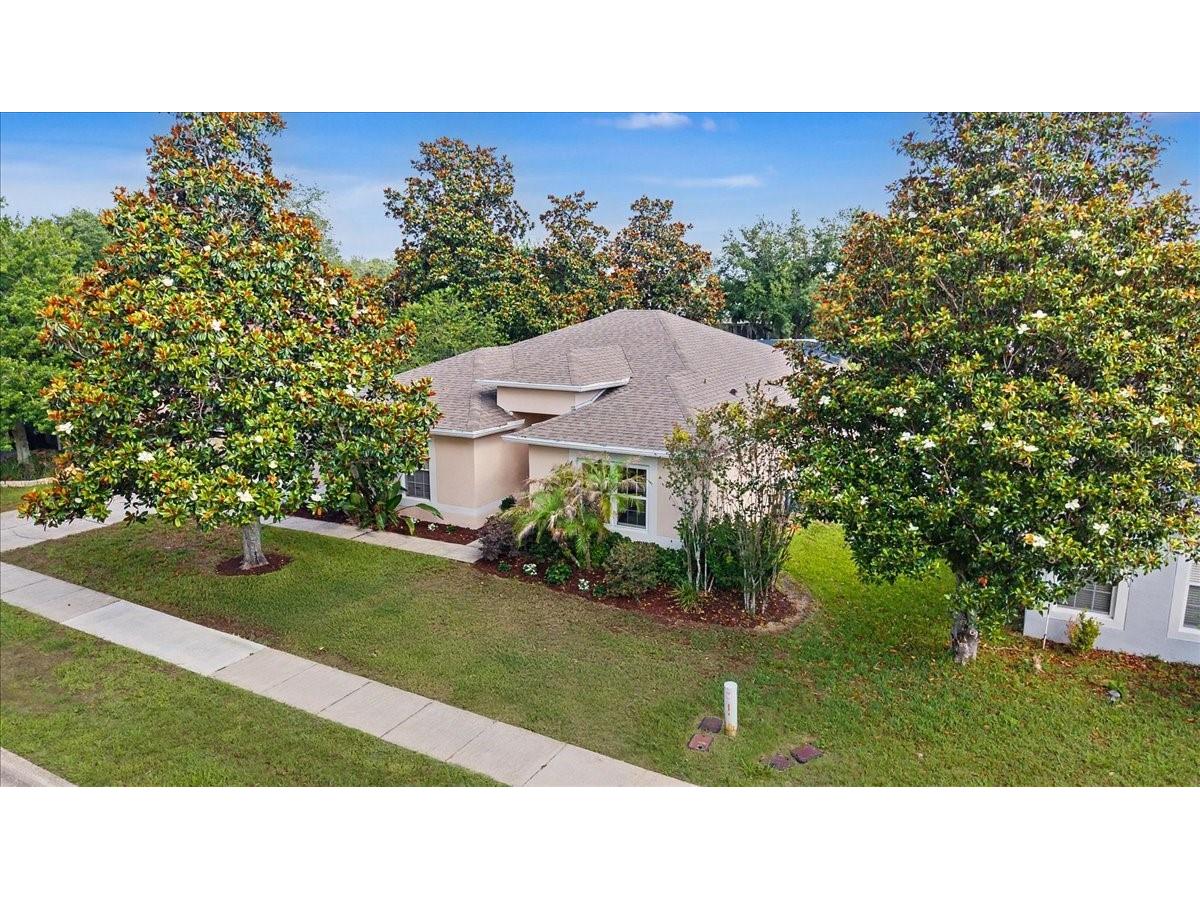 2543 Palmetto Ridge Circle Apopka FL 32712 O6411169 image4
