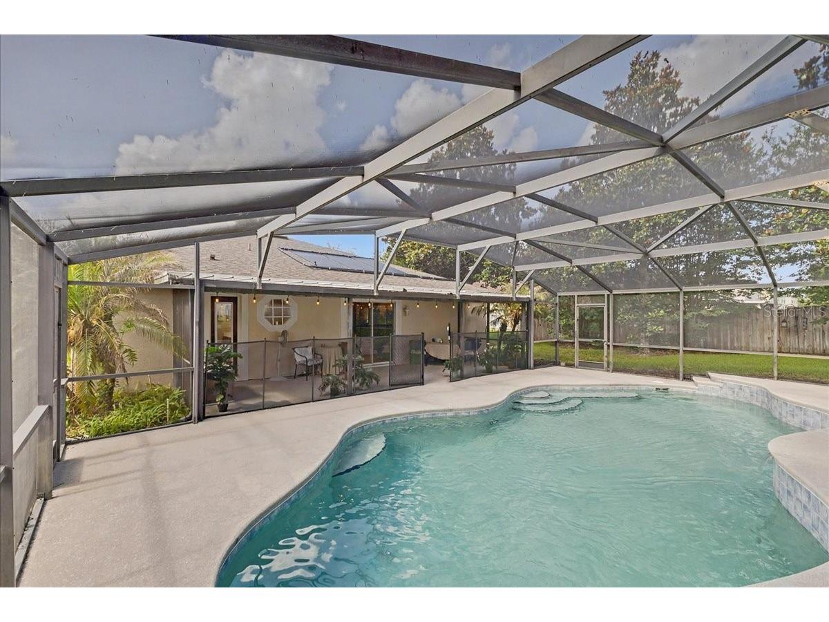 2543 Palmetto Ridge Circle Apopka FL 32712 O6411169 image40