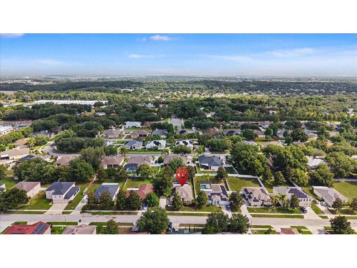 2543 Palmetto Ridge Circle Apopka FL 32712 O6411169 image43
