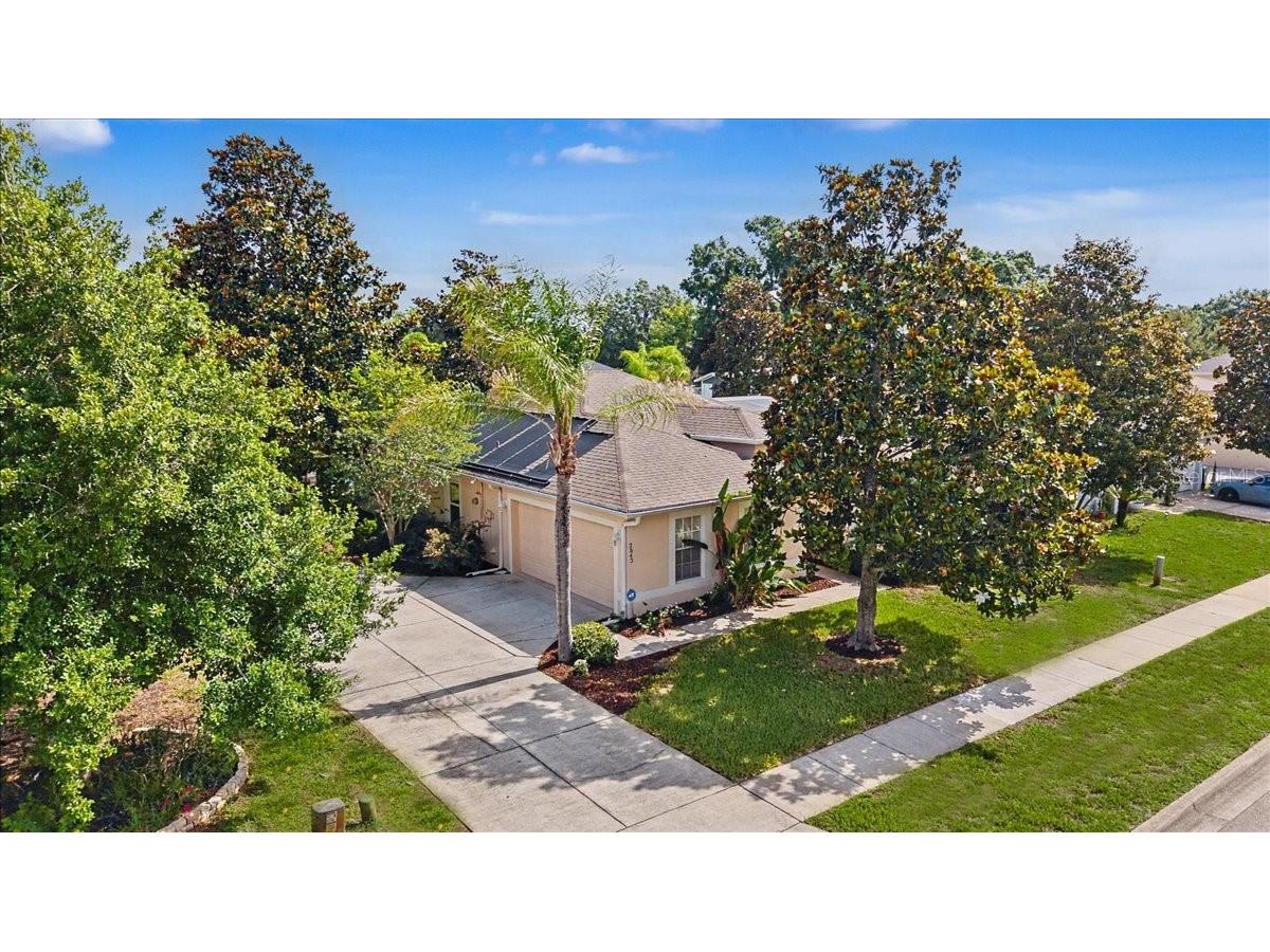 2543 Palmetto Ridge Circle Apopka FL 32712 O6411169 image5