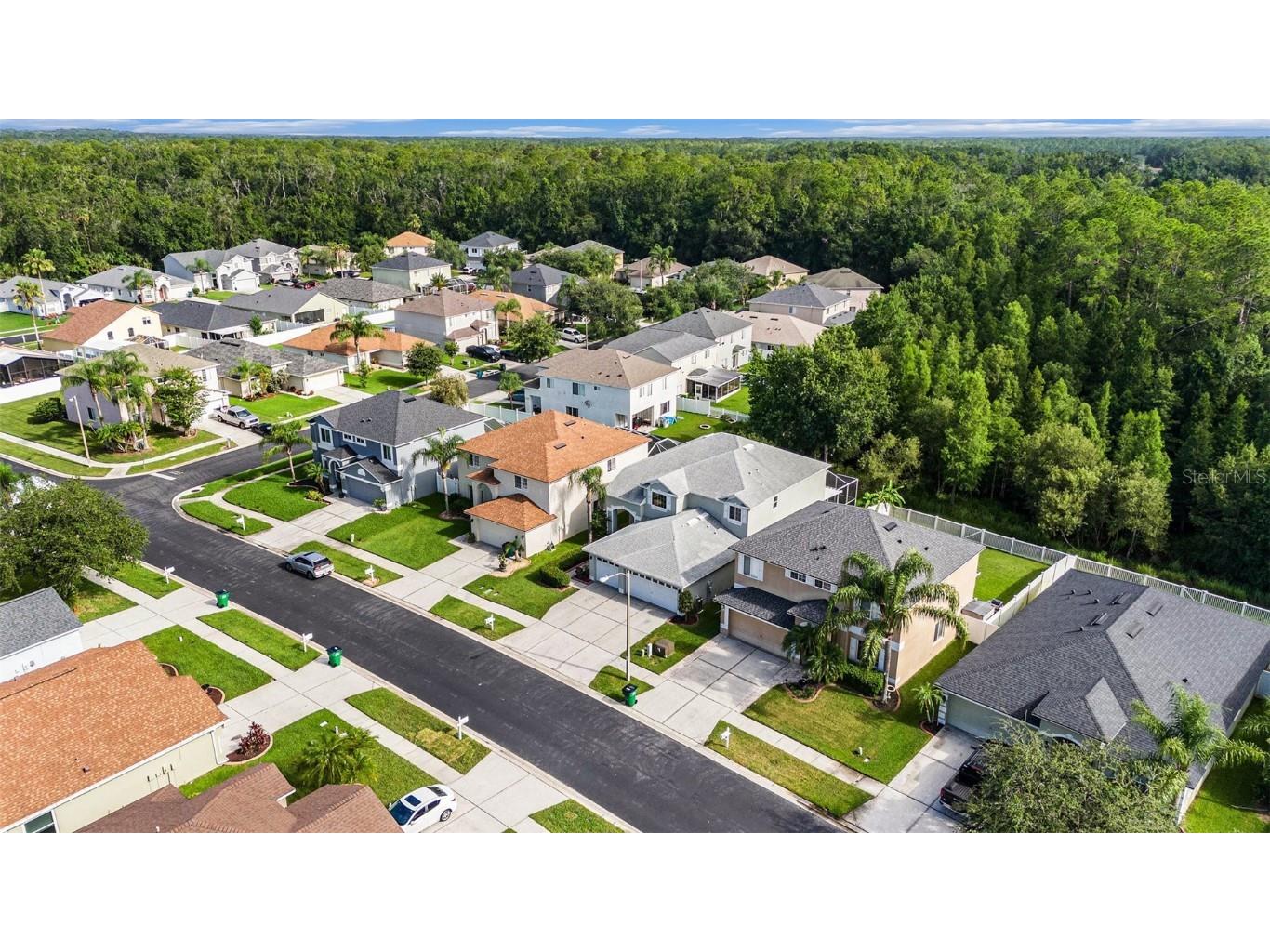 25435 Bruford Boulevard Land O Lakes FL 34639 TB8401404 image10
