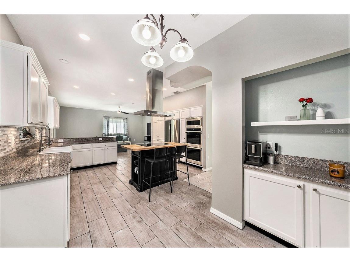 25435 Bruford Boulevard Land O Lakes FL 34639 TB8401404 image15