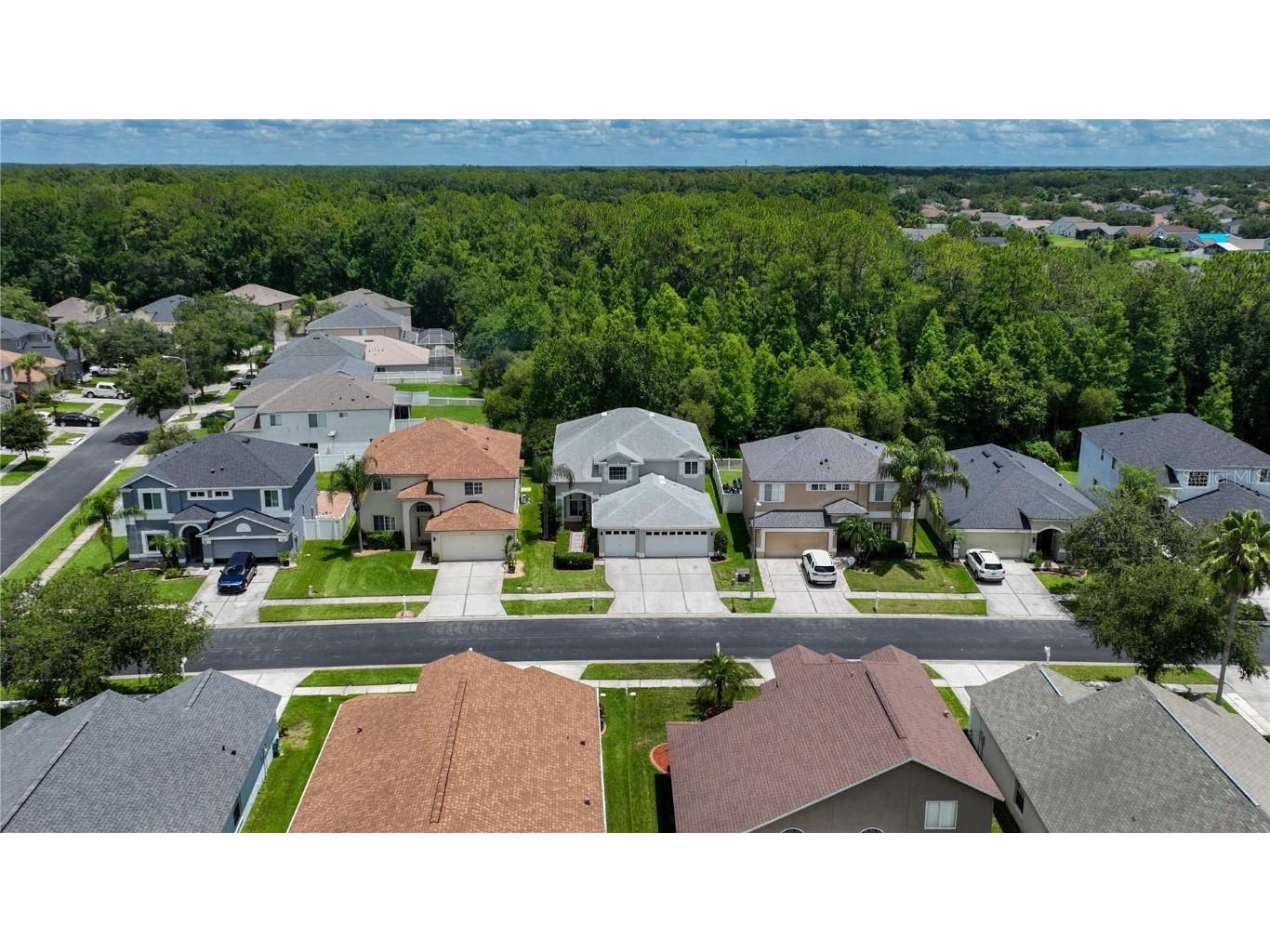 25435 Bruford Boulevard Land O Lakes FL 34639 TB8401404 image2