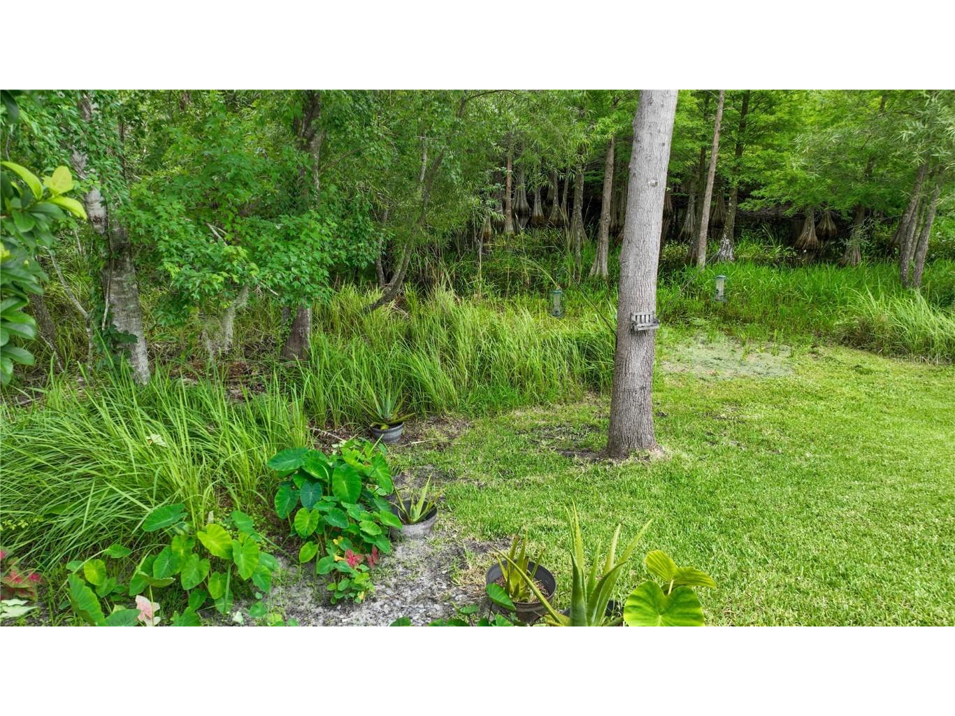 25435 Bruford Boulevard Land O Lakes FL 34639 TB8401404 image39