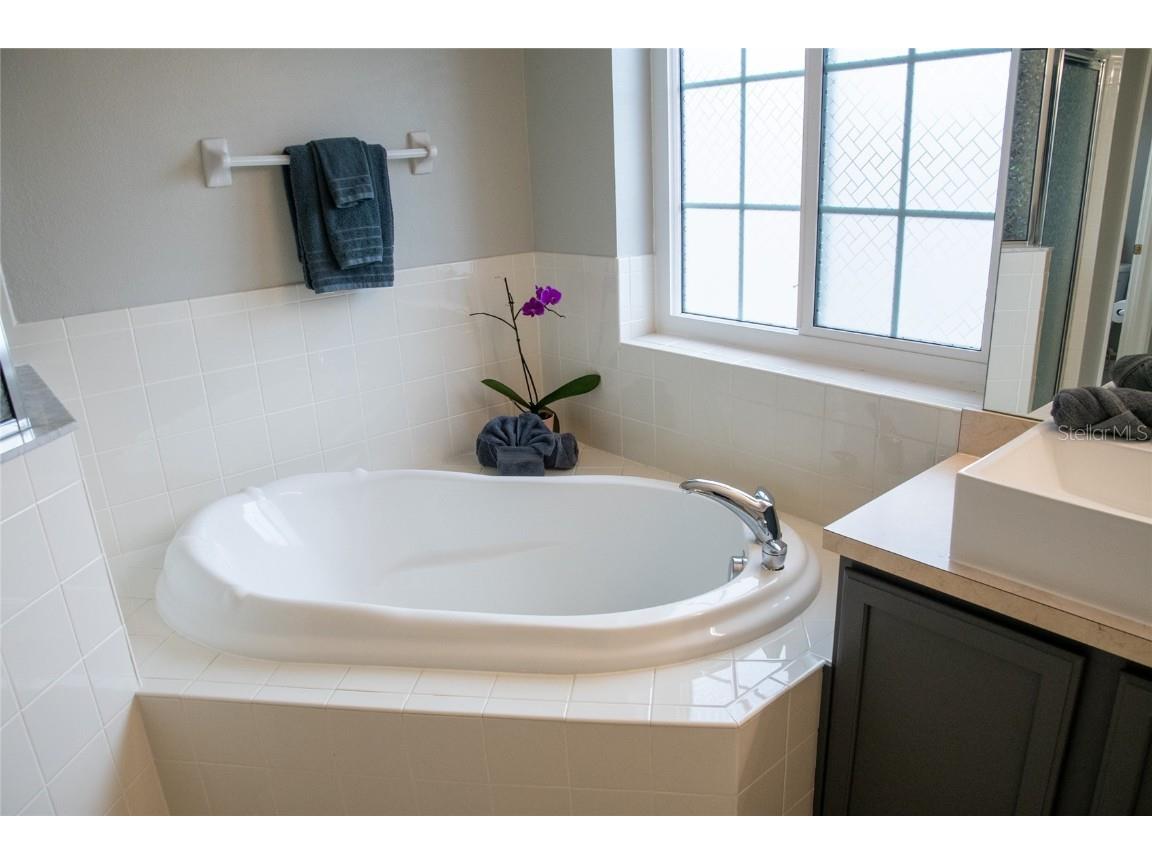 25435 Bruford Boulevard Land O Lakes FL 34639 TB8401404 image63