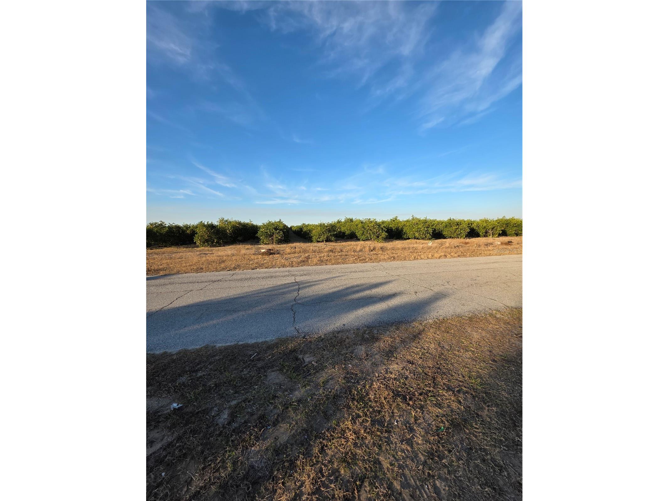 2544 El Dorado Avenue Avon Park FL 33825 O6379968 image30