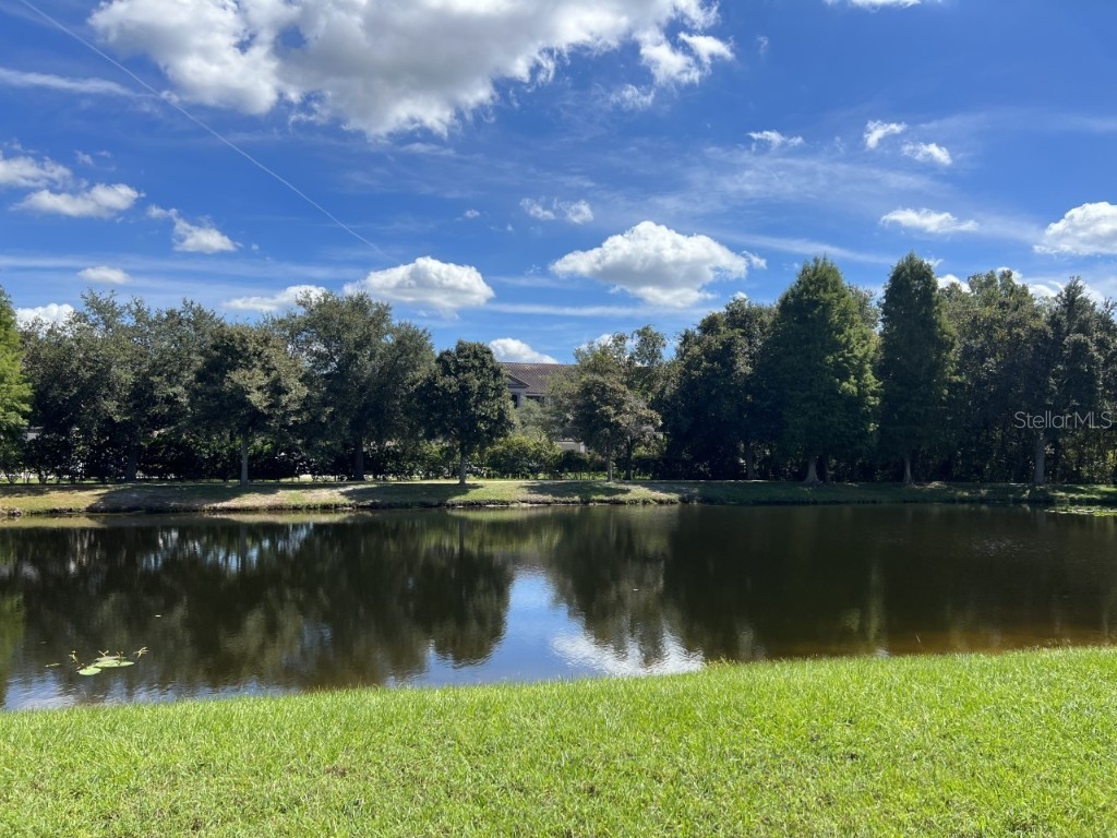 2544 Glenrise Place Wesley Chapel FL 33544 U8190918 image1