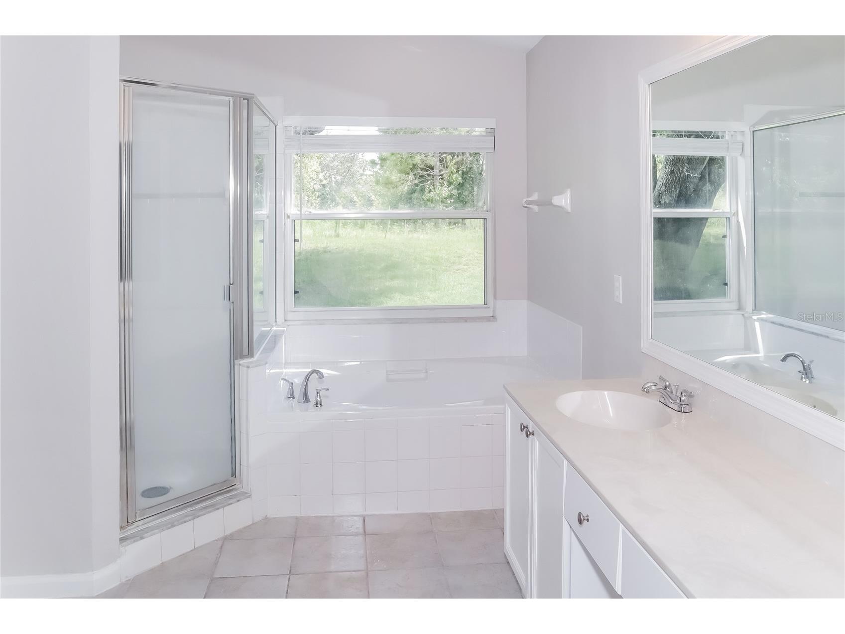 2544 Meadow Oaks Loop Clermont FL 34714 TB8506584 image13