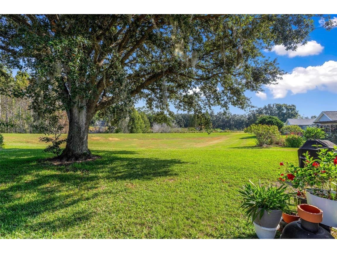 25440 Crestwater Drive Leesburg FL 34748 G5104727 image39