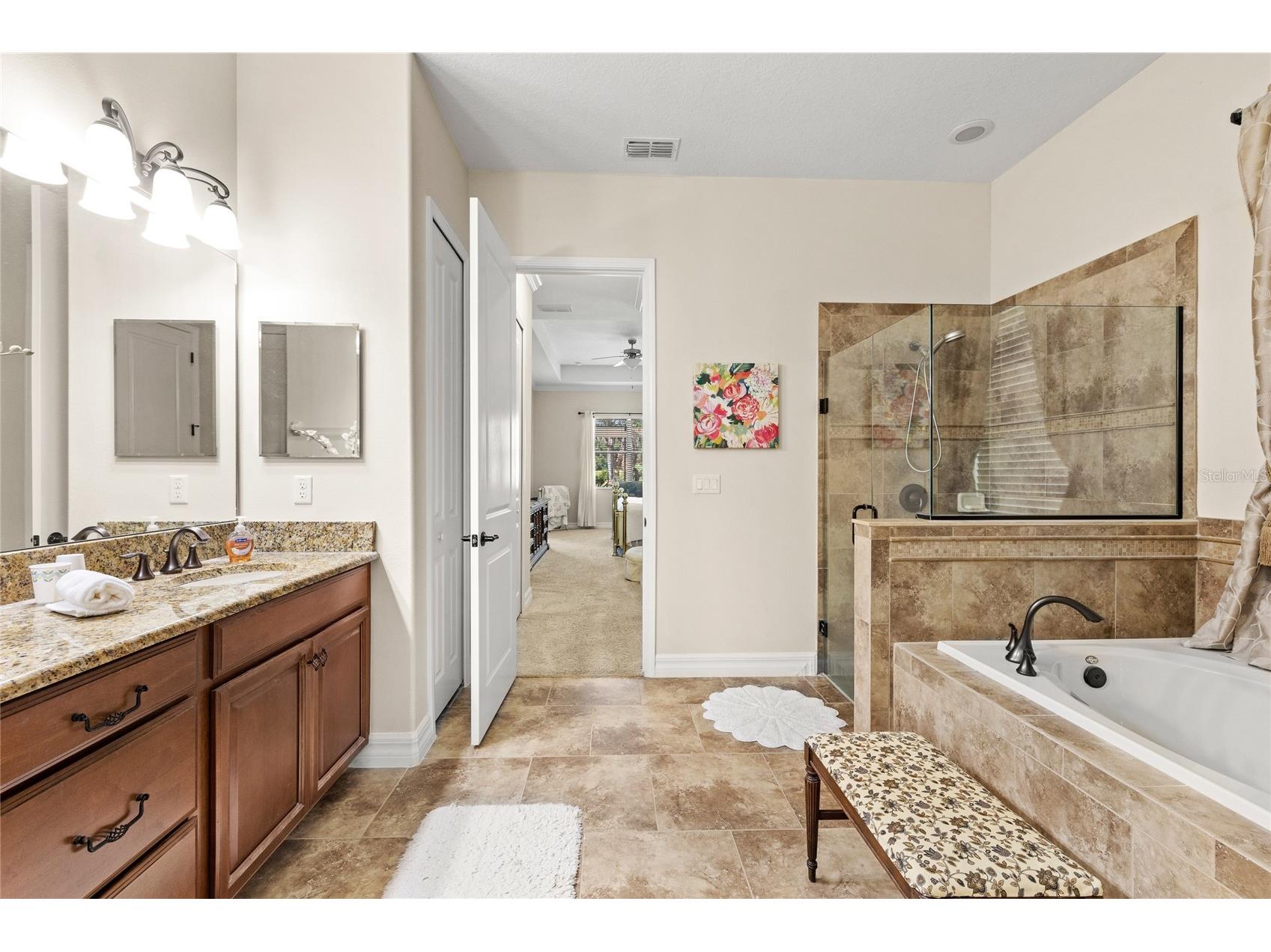 25447 High Hampton Circle Sorrento FL 32776 O6418391 image18