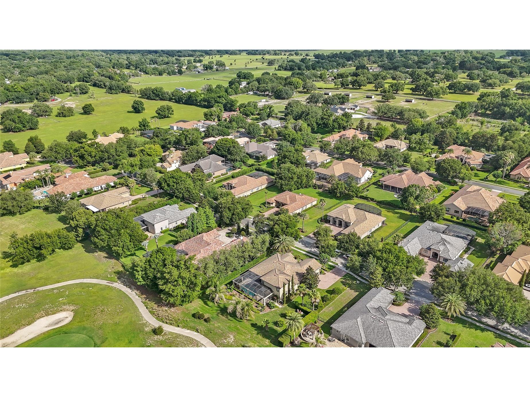 25447 High Hampton Circle Sorrento FL 32776 O6418391 image50