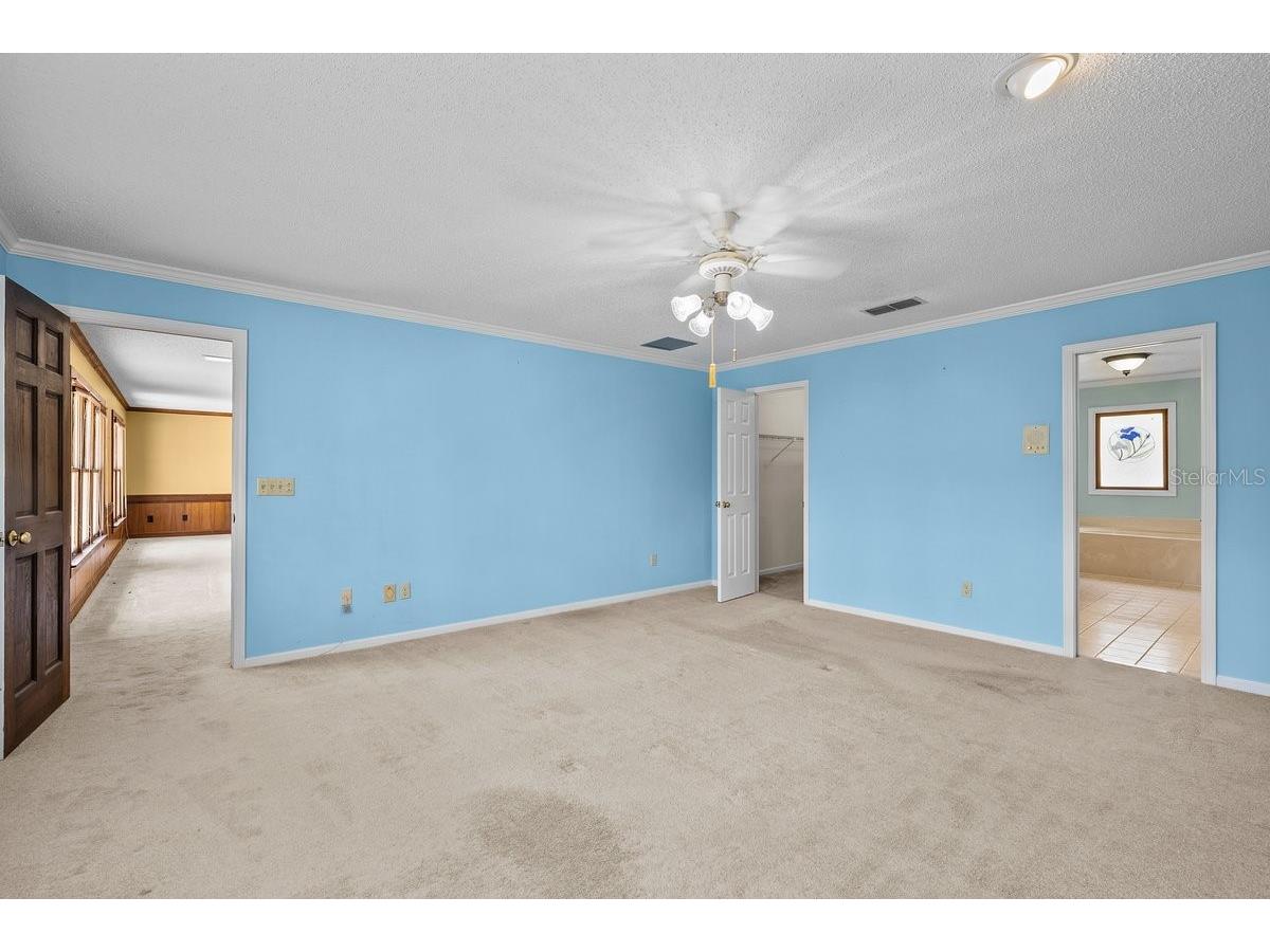 2545 Crooked Creek Point Middleburg FL 32068 O6375464 image49