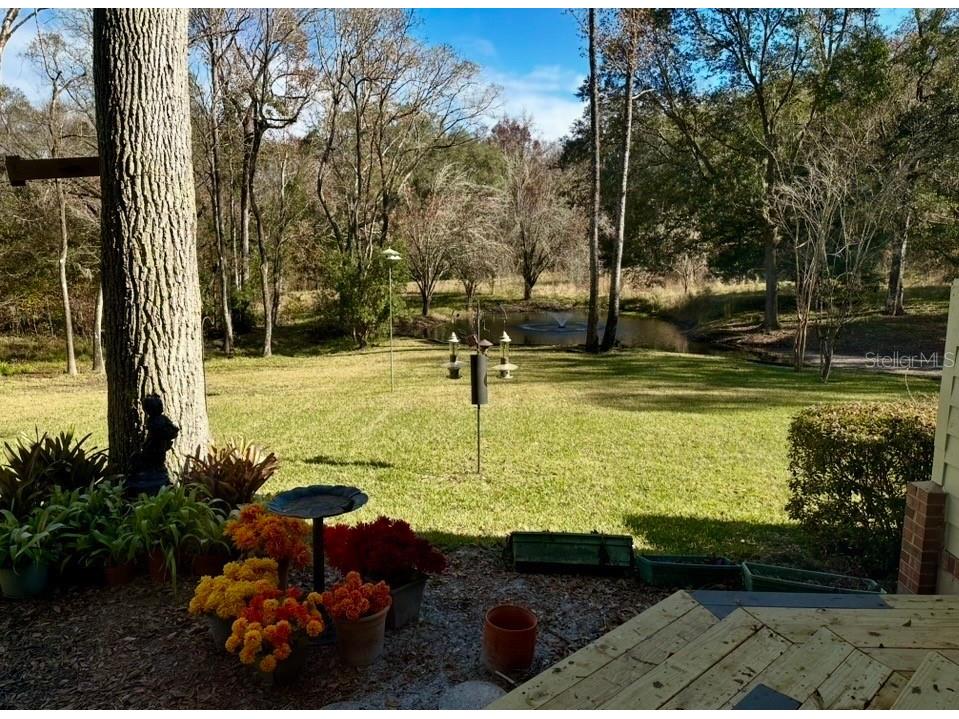 2545 Crooked Creek Point Middleburg FL 32068 O6375464 image5