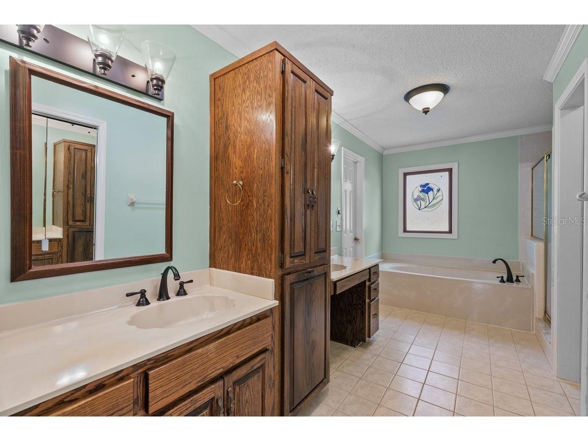 2545 Crooked Creek Point Middleburg FL 32068 O6375464 image50