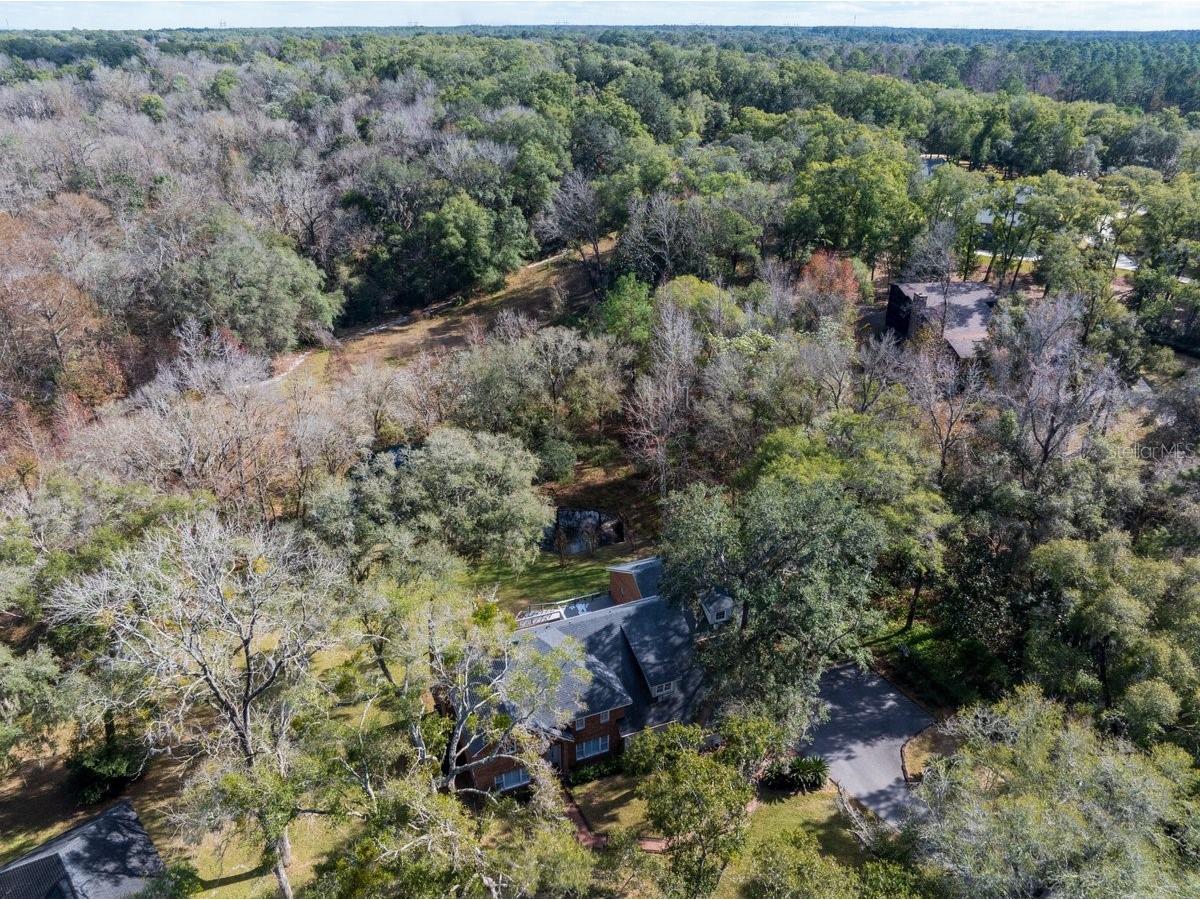 2545 Crooked Creek Point Middleburg FL 32068 O6375464 image54