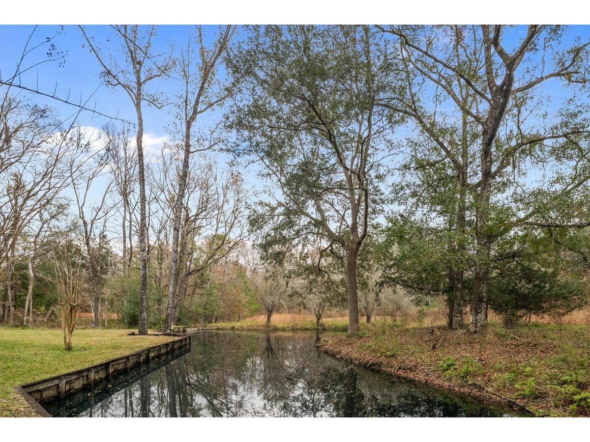2545 Crooked Creek Point Middleburg FL 32068 O6375464 image8