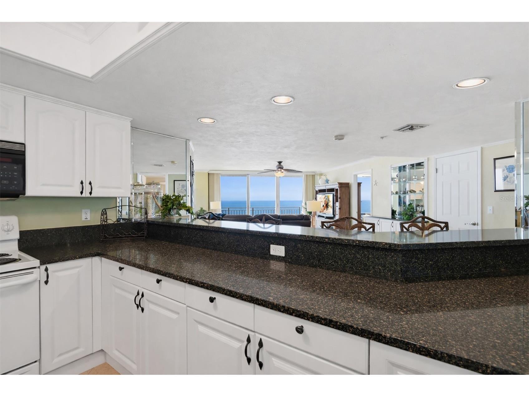 2545 S Atlantic Avenue #1103 Daytona Beach Shores FL 32118 V4947533 image13