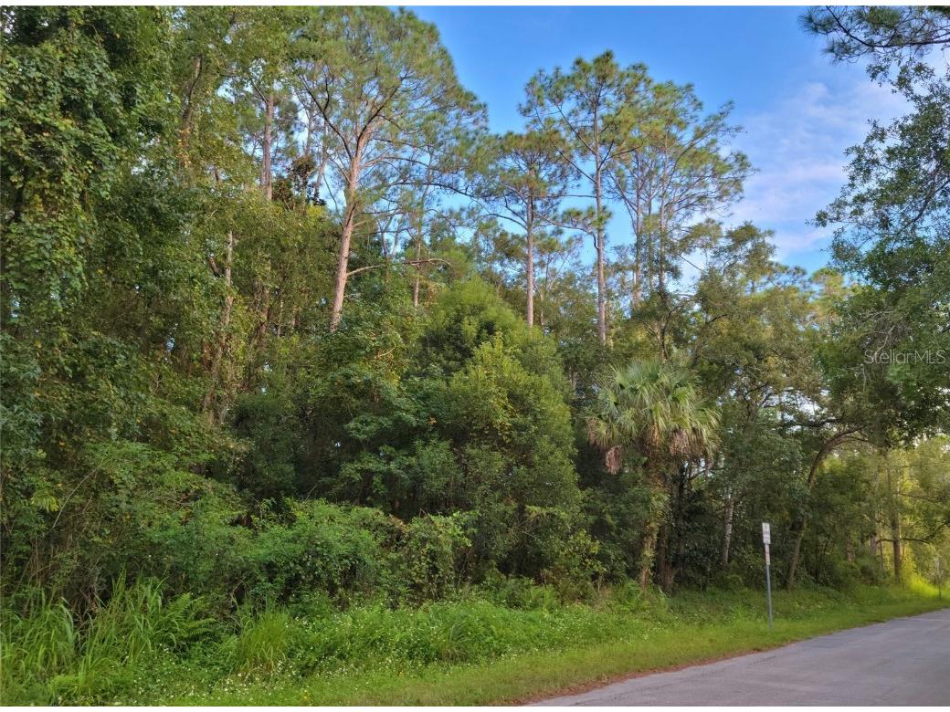 2545 S Park Avenue Sanford FL 32773 O5975389 image1