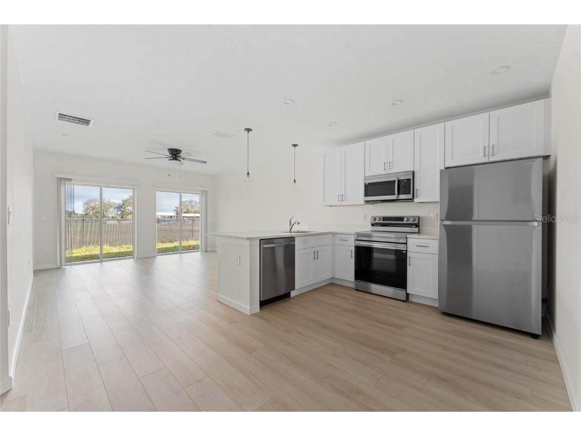 2545 Slim Haywood Avenue Tavares FL 32778 O6359421 image5