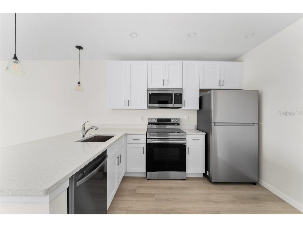 2545 Slim Haywood Avenue Tavares FL 32778 O6359421 image6