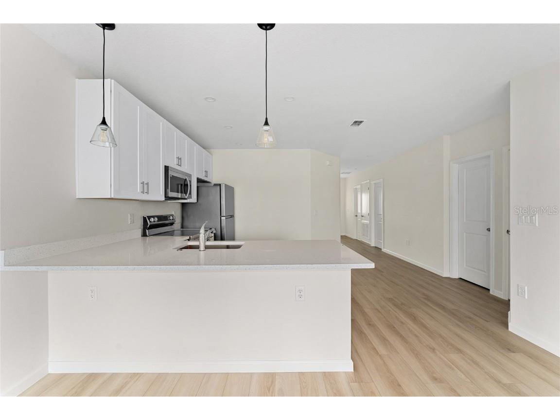 2545 Slim Haywood Avenue Tavares FL 32778 O6359421 image8