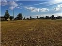 25450 Islas Drive Punta Gorda FL 33955 A4694904 image2