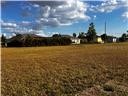 25450 Islas Drive Punta Gorda FL 33955 A4694904 image4