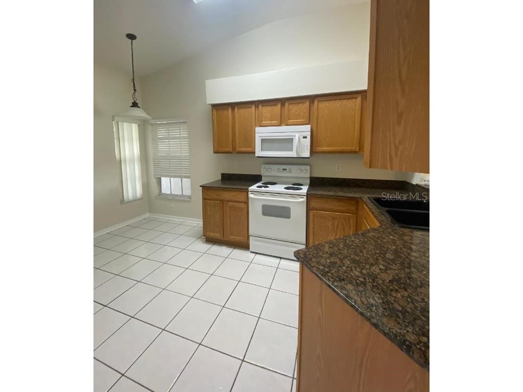 25456 Geddy Drive Land O Lakes FL 34639 TB8433690 image2