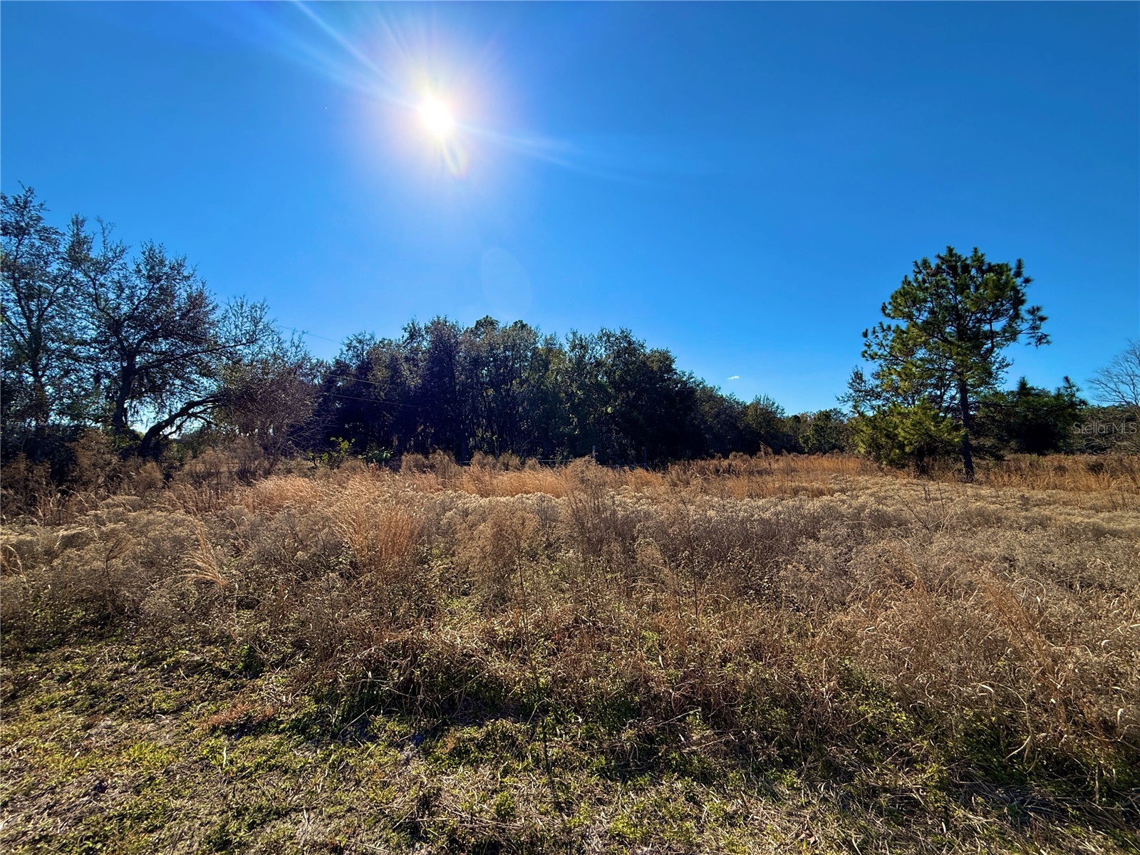 2546 & 2586 W Beresford Avenue Deland FL 32720 S5143985 image1