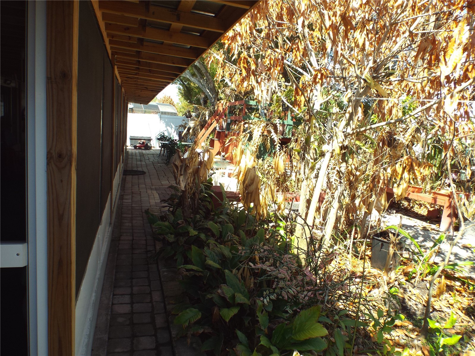 2546 Sage Drive Kissimmee FL 34758 S5144380 image26