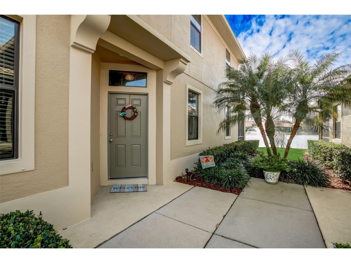 2546 Silverback Court Palm Harbor FL 34684 T3498598 image1