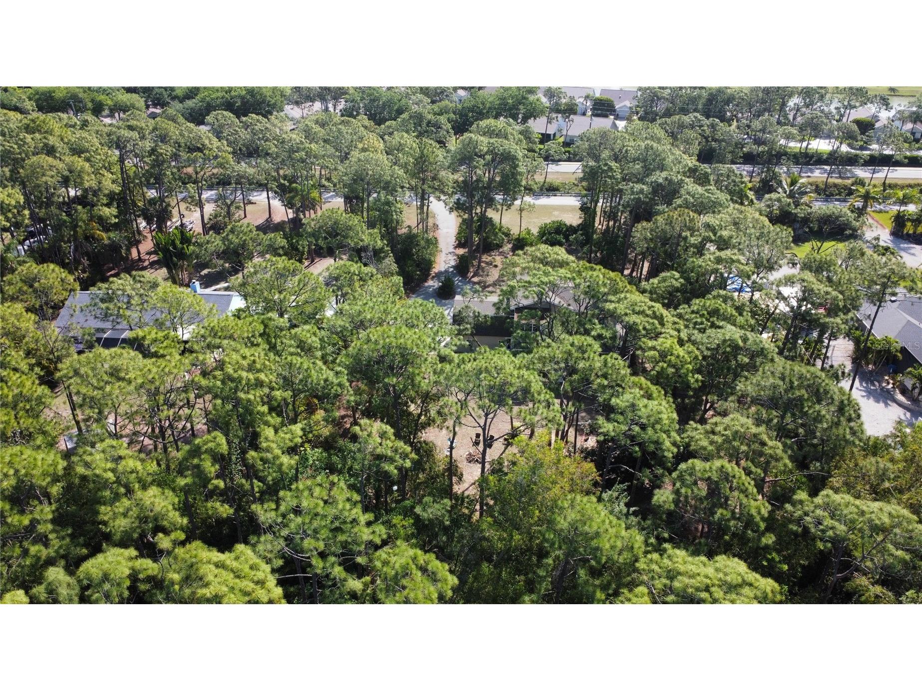25461 Luci Drive Bonita Springs FL 34135 O6413703 image1