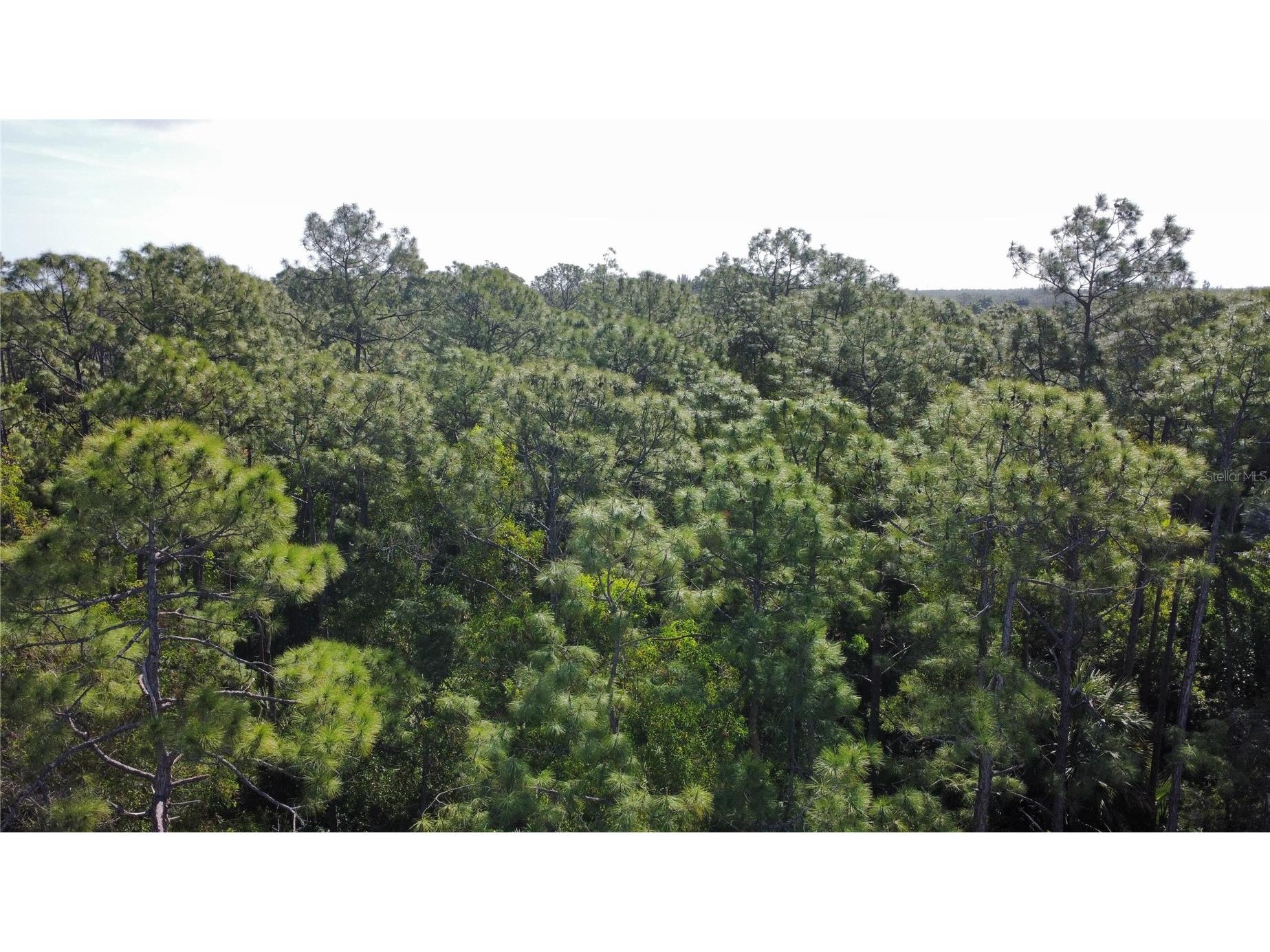 25461 Luci Drive Bonita Springs FL 34135 O6413703 image14