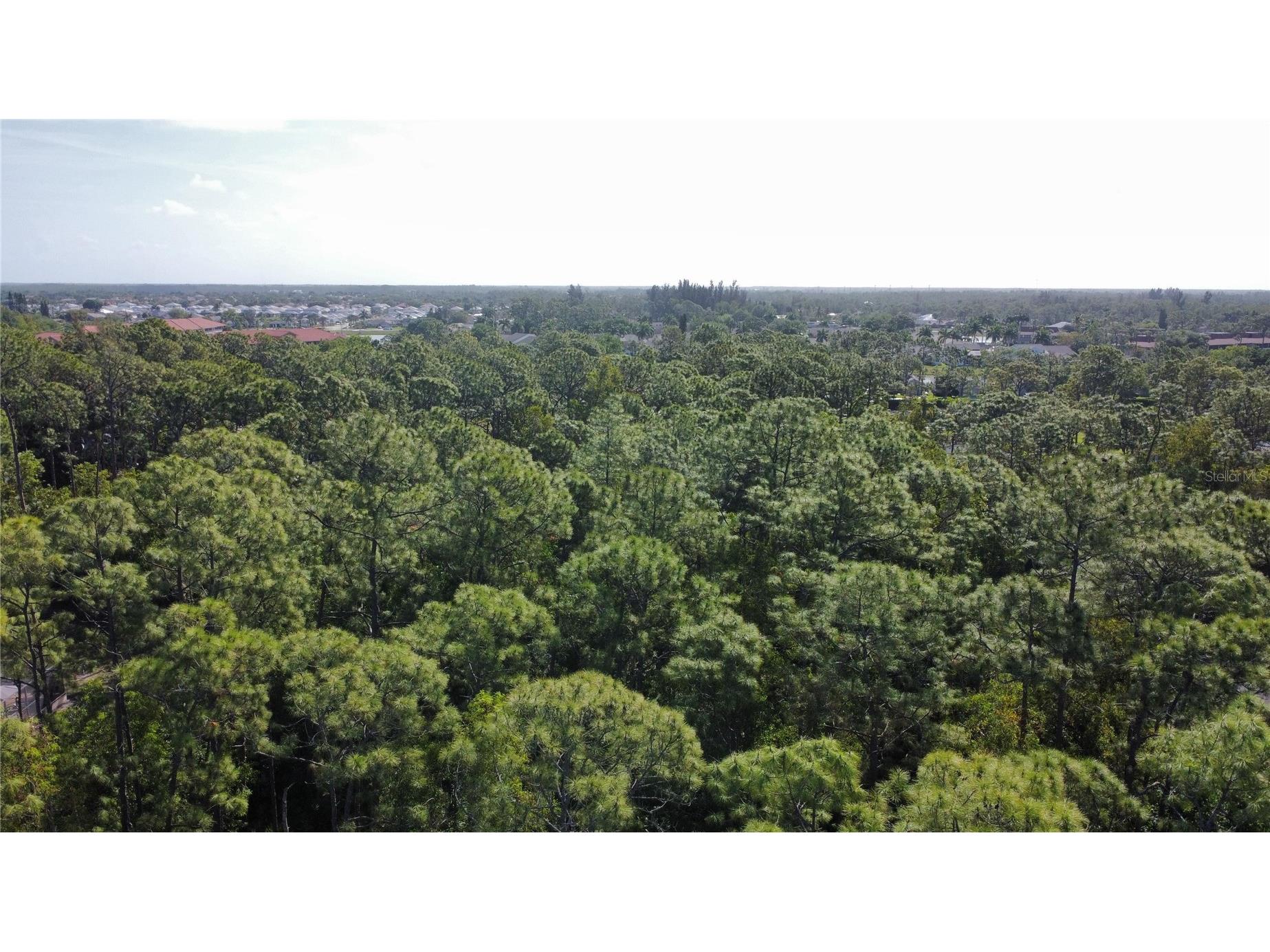25461 Luci Drive Bonita Springs FL 34135 O6413703 image15