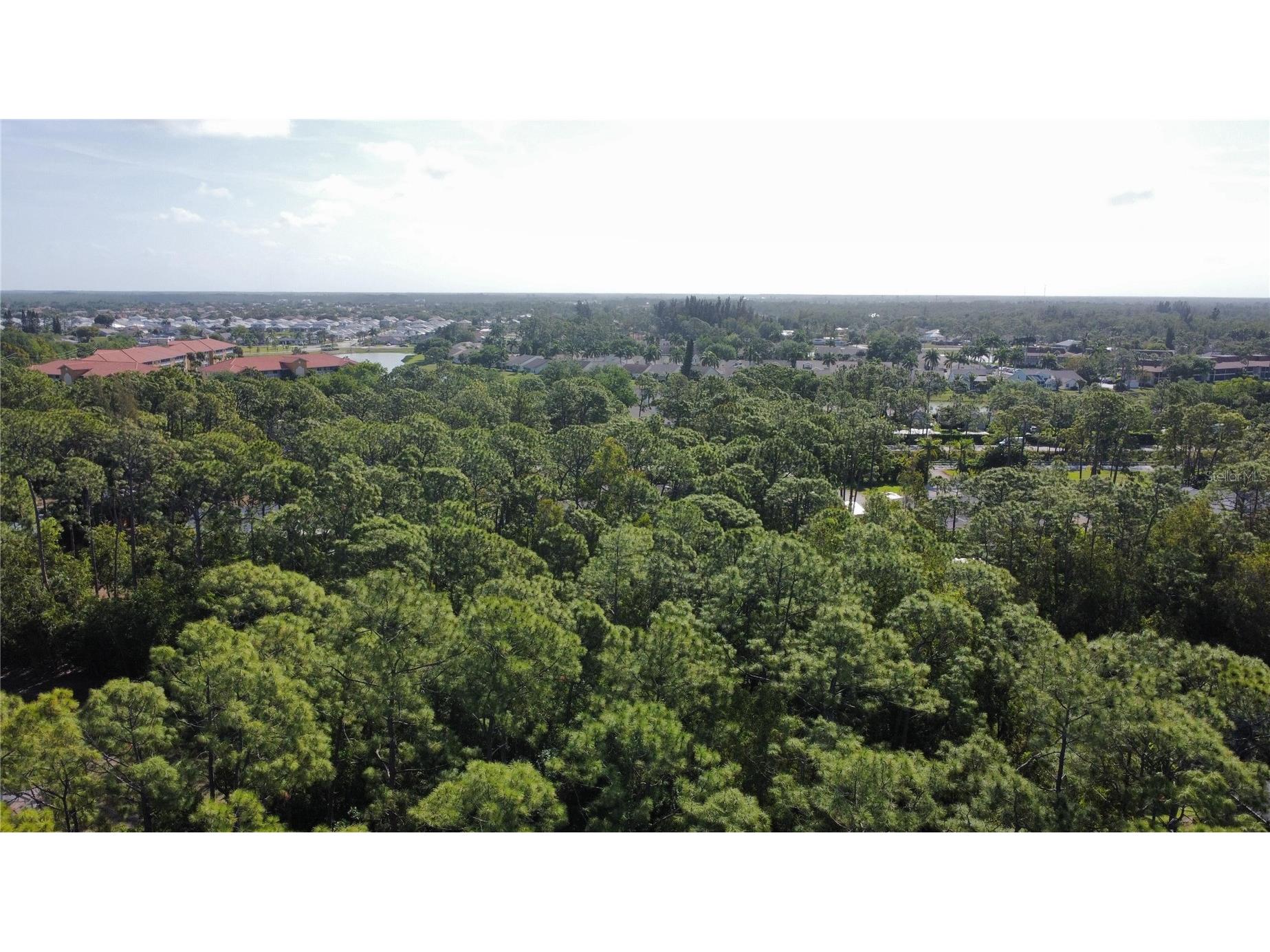 25461 Luci Drive Bonita Springs FL 34135 O6413703 image16