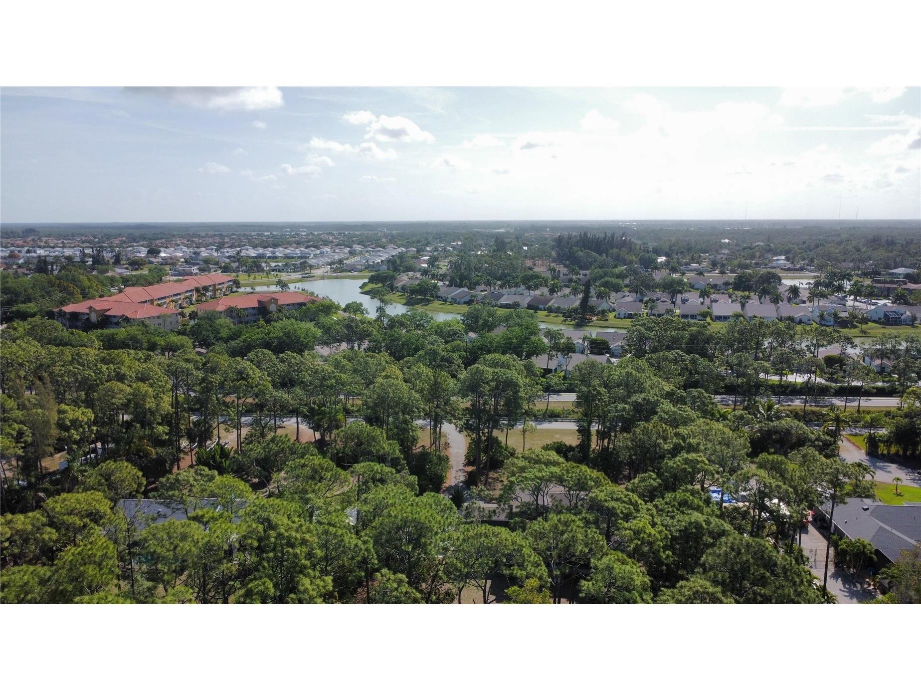25461 Luci Drive Bonita Springs FL 34135 O6413703 image17