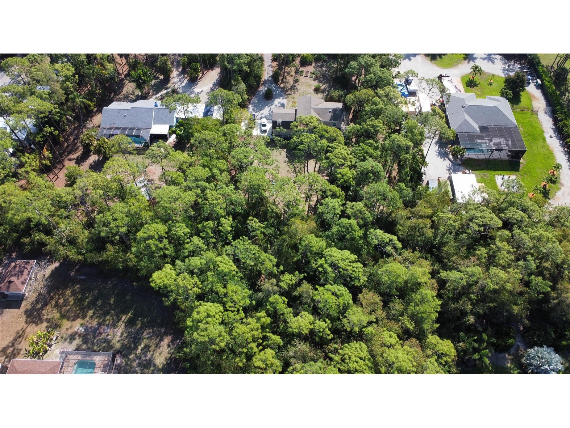 25461 Luci Drive Bonita Springs FL 34135 O6413703 image2