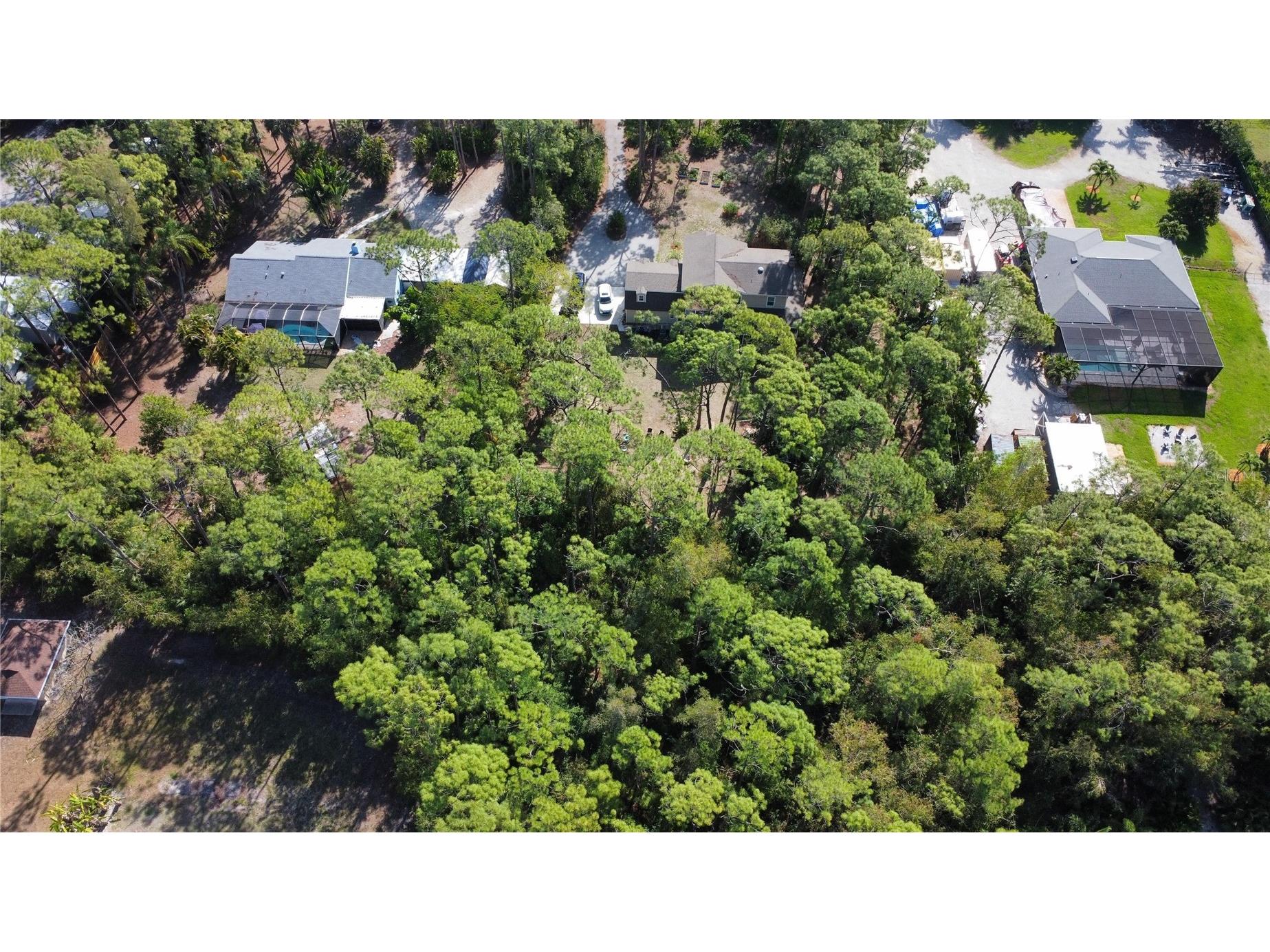 25461 Luci Drive Bonita Springs FL 34135 O6413703 image3