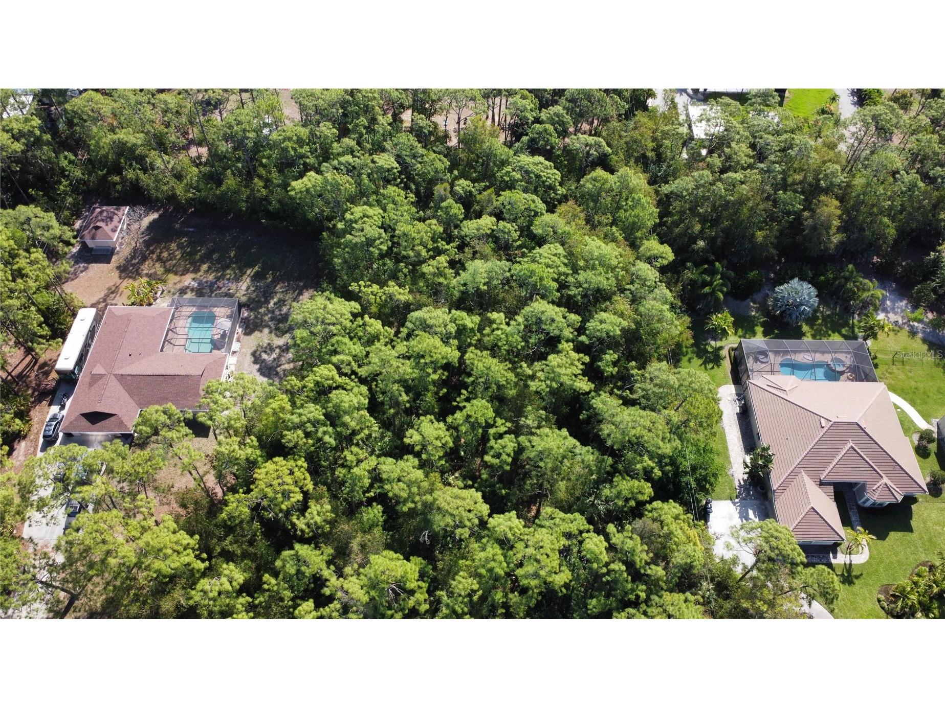 25461 Luci Drive Bonita Springs FL 34135 O6413703 image4