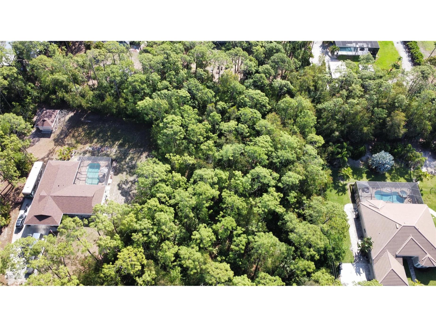 25461 Luci Drive Bonita Springs FL 34135 O6413703 image5
