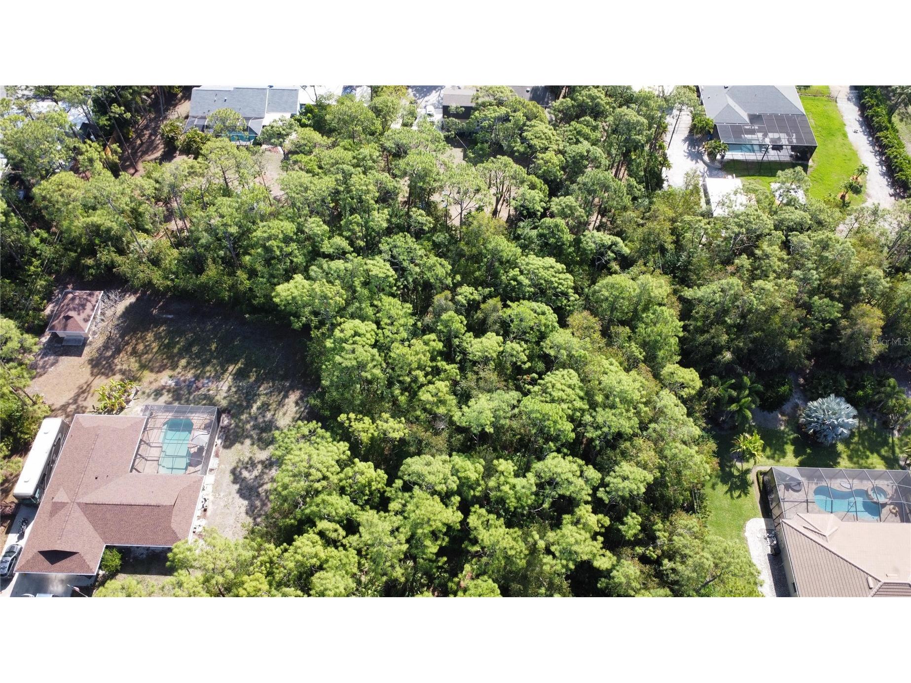 25461 Luci Drive Bonita Springs FL 34135 O6413703 image6
