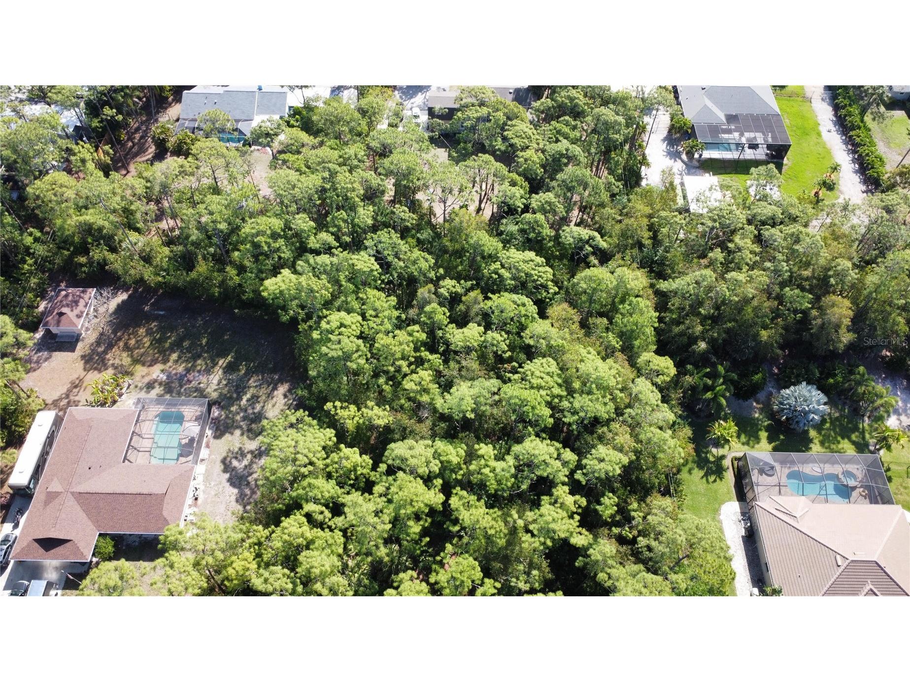 25461 Luci Drive Bonita Springs FL 34135 O6413703 image7