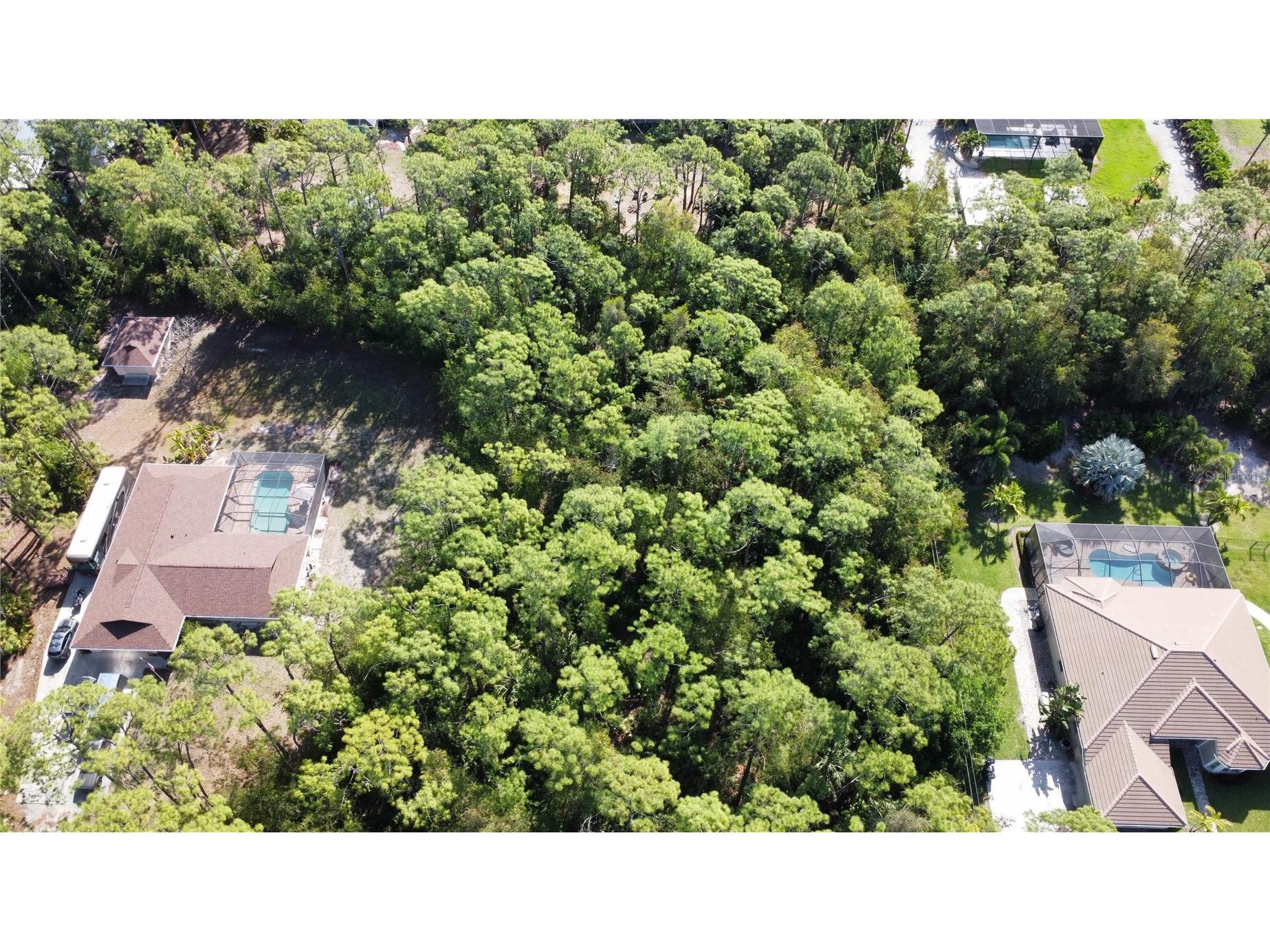 25461 Luci Drive Bonita Springs FL 34135 O6413703 image8