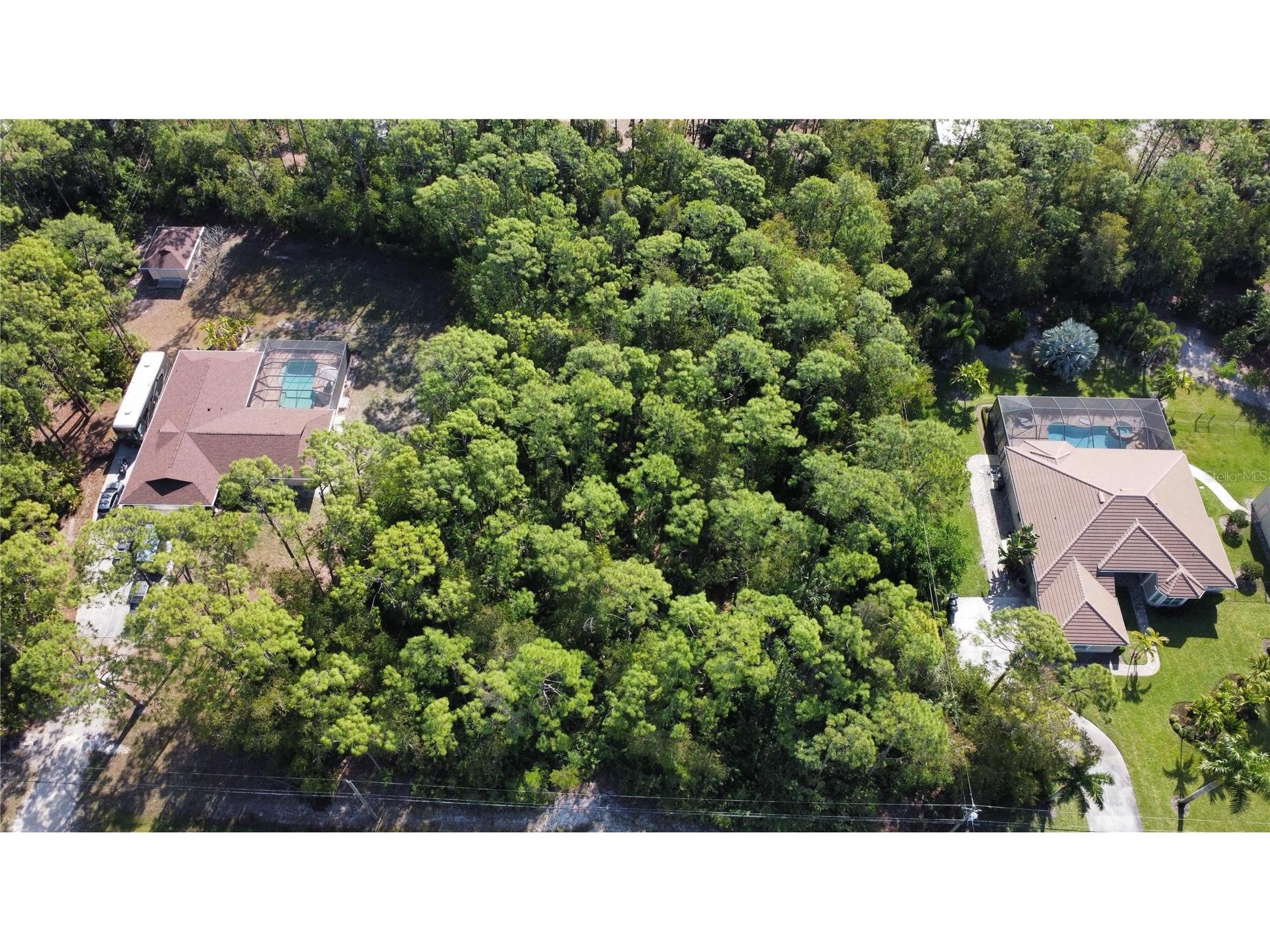 25461 Luci Drive Bonita Springs FL 34135 O6413703 image9